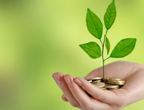 Mein Geld regiert die Welt – Geld nachhaltig und ethisch arbeiten lassen